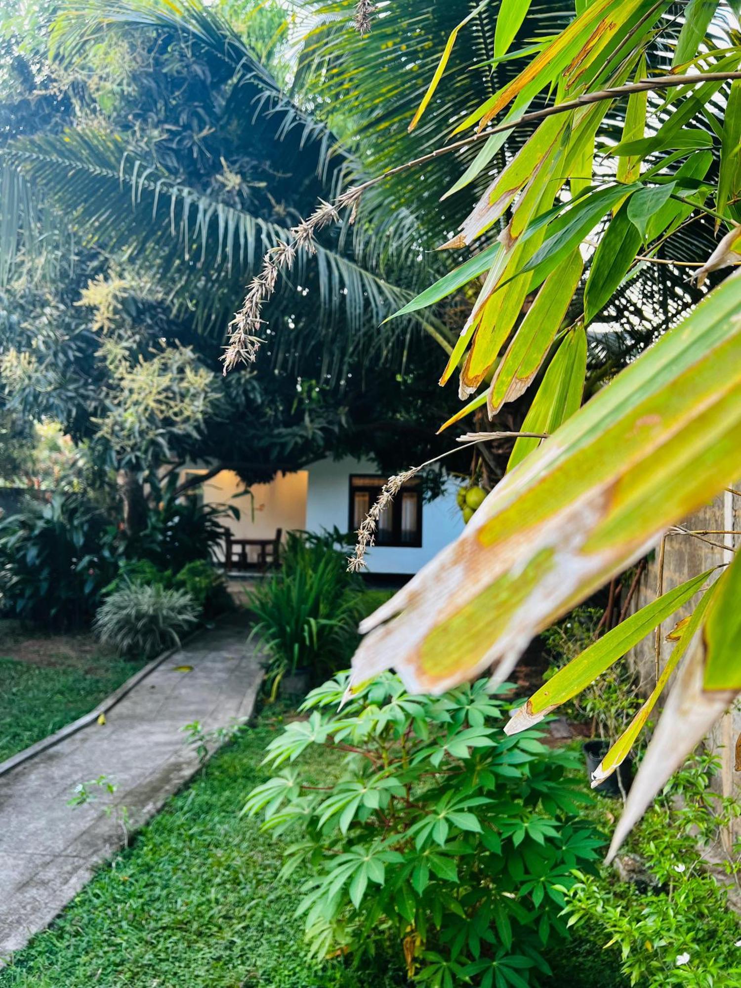 The Mango Retreat Villa Mirissa Eksteriør billede
