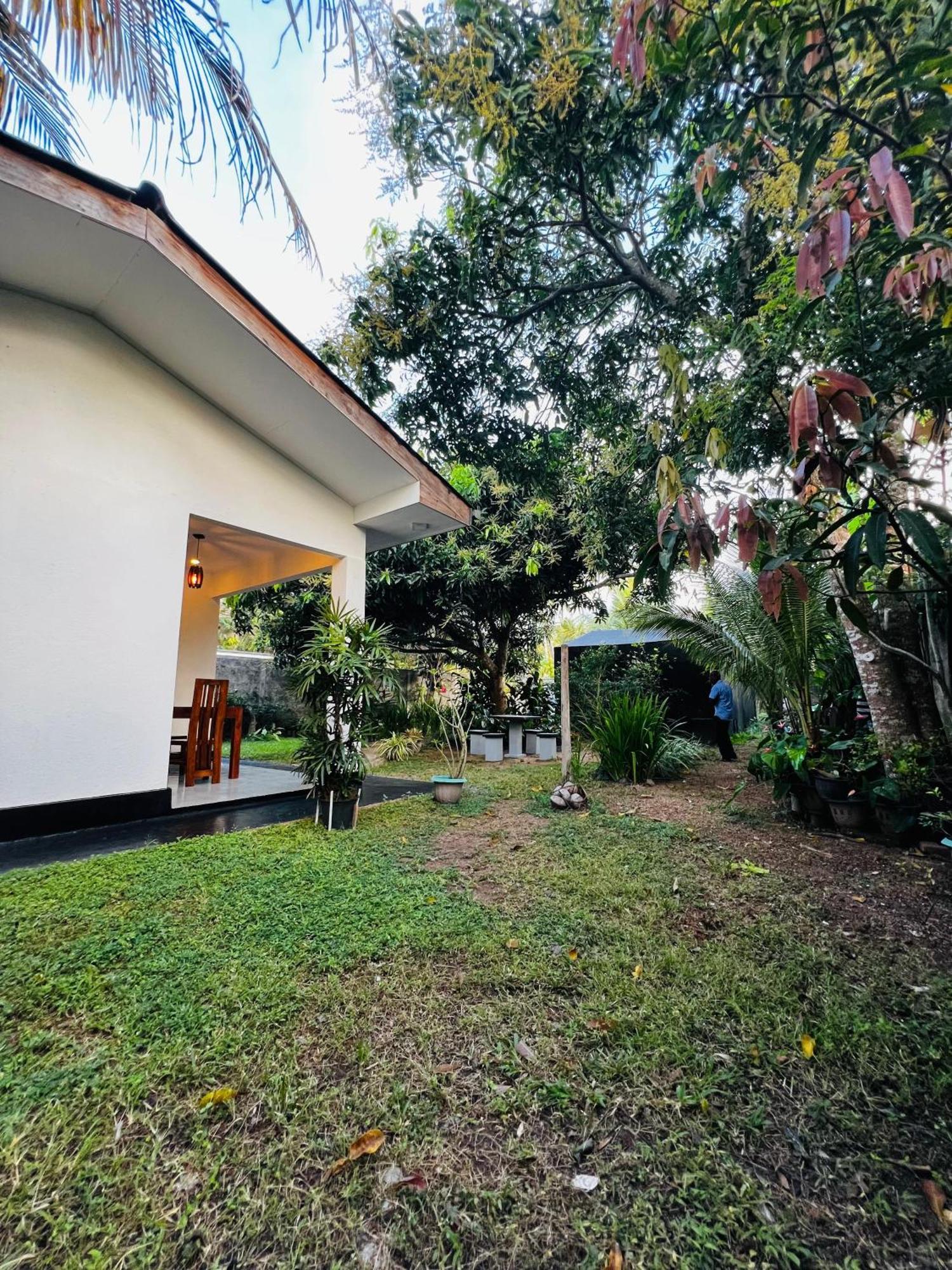 The Mango Retreat Villa Mirissa Eksteriør billede
